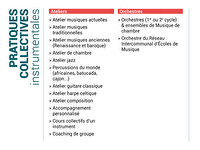 Les pratiques collectives instrumentales